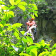 Michelle – Singapore